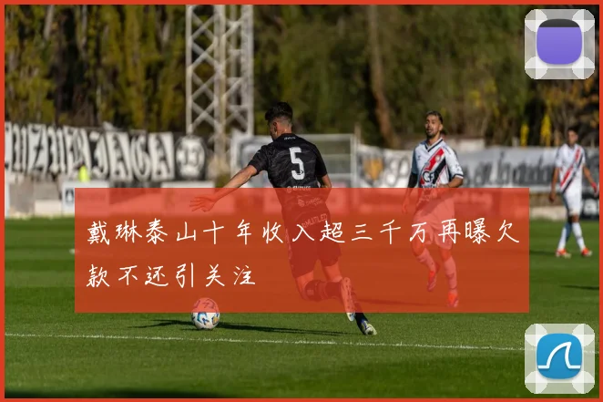 戴琳泰山十年收入超三千万再曝欠款不还引关注